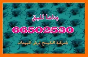 الرقم الساخن مكافحة حشرات الرقم الساخن مكافحة حشرات