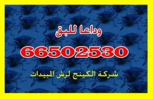 مكافحة حشرات الكينج