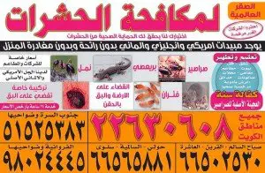 مكافحة حشرات وقوارض