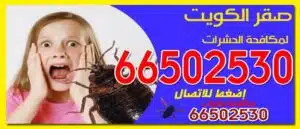 مكافحة حشرات