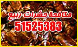 مكافحة حشرات ربيع