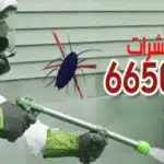 أكتشف 8 أسباب لمكافحة الحشرات والقوارض