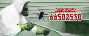 شركة رش حشرات بالكويت