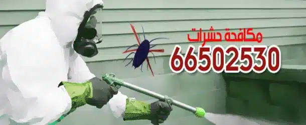 شركة رش حشرات بالكويت 1 شركة رش حشرات بالكويت
