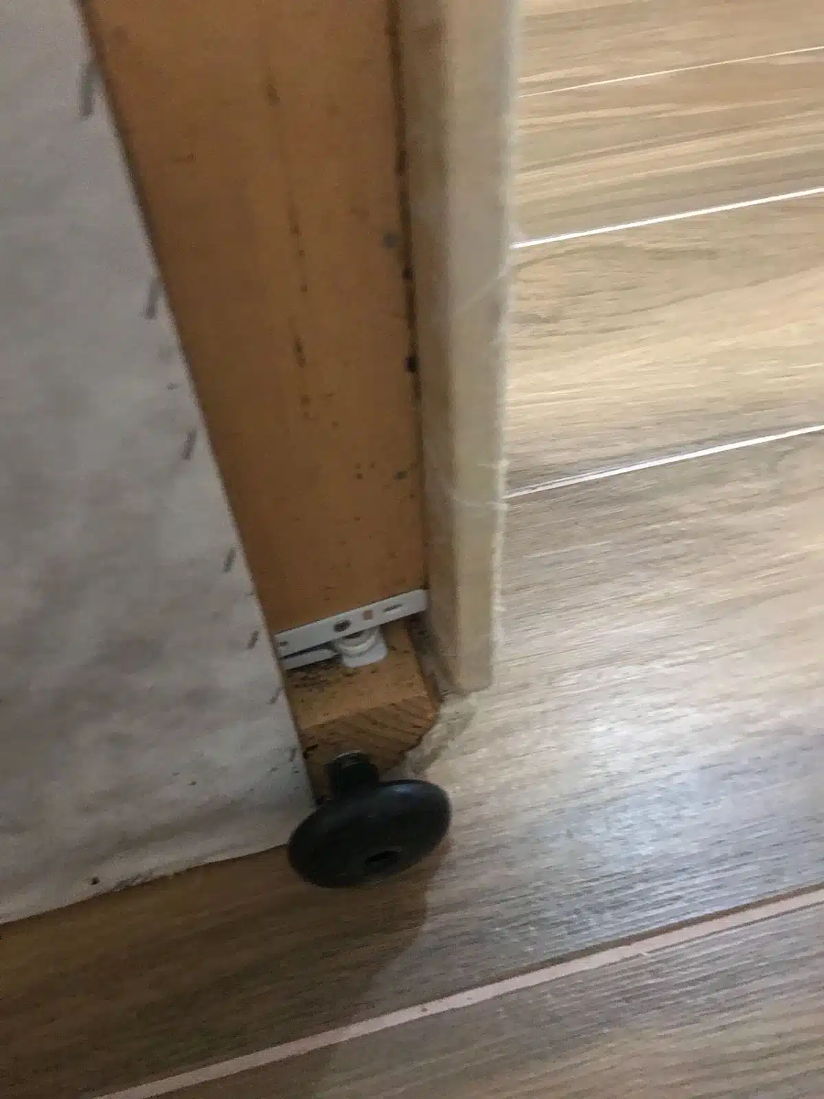 كيف تتخلصين من حشرات المطبخ؟ 3 3