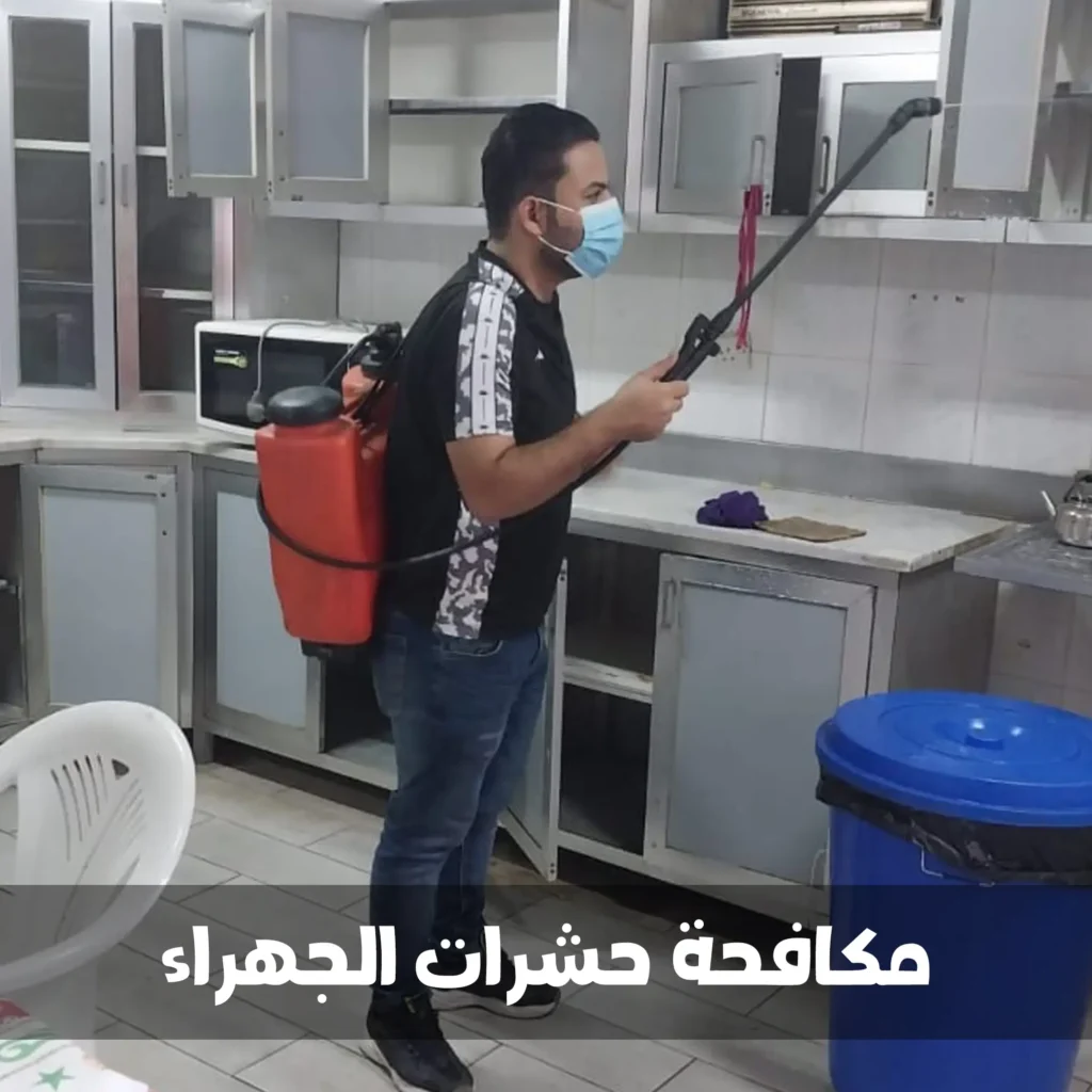 مكافحة حشرات الجهراء