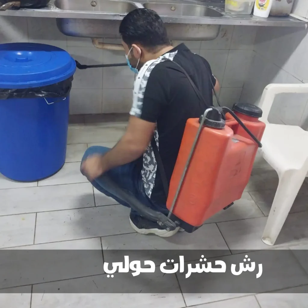 مكافحة حشرات حولي