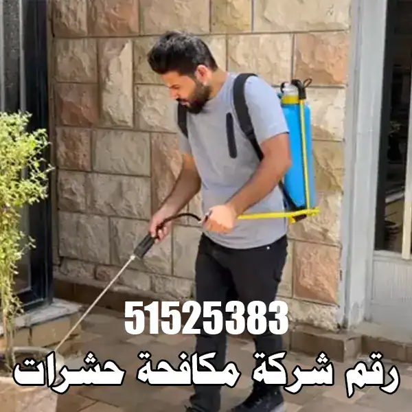 رقم شركة مكافحة حشرات